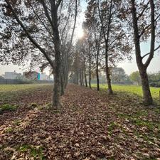 فروش زمین مسکونی 250 متر در نخست وزیری