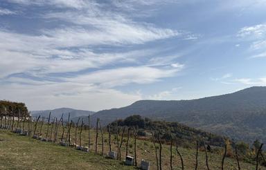 فوری 430 متر زمین با قیمت مناسب