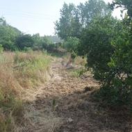 فروش زمین باغی 665 متر