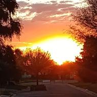 فروش ویلاجنگلی