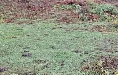 زمین مناسب برای ساخت ویلا و باغ در روستای شیر آباد بخش حویق