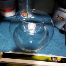 تنگ و گلدان گل