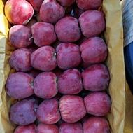 فروش سیب سوپر لوکس سفید و قرمز میانه