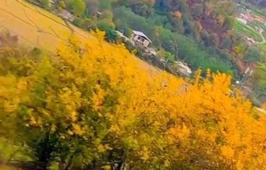 کلبه سوئیسی در دل جنگل نو ساخت در ارتفاع رفت آمد به آسانی