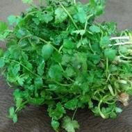 سبزی اناریجه