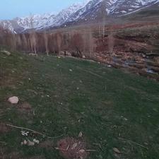 زمین مناسب باغ