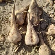 ب3 نفر نیروی کار