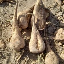 ب3 نفر نیروی کار