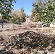 خدمات باقبانی