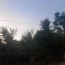 فروش زمین کشاورزی 185 متر در ارزفون