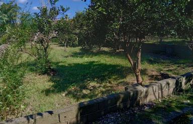 زمین باغی واقع در ترک محله چسبیده به شهر