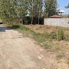 فروش زمین مسکونی 1305 متر در جاده کیاشهر