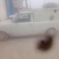 حمل بار با پیکان وانت