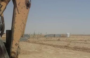 باغ سند تک برگ 36 ماهه بدون بهره