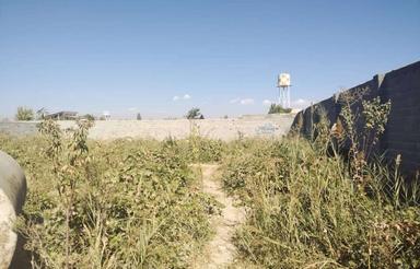 1000 متر زمین باغ انگوری هزارمتری سرسبز در سهیلیه