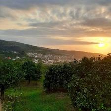 زمین باغی 1000 متر در مرمت