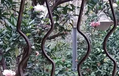 فروش ویلا 1250 متری خیابان آزادی