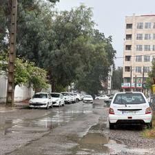 241متر/بر خوب/پرسود