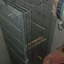 قفس پرنده سالم