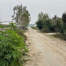 فروش زمین کشاورزی 10000 متر در درکاسر