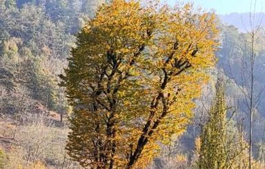 200 متر زمین مسکونی