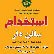 استخدام سالندار