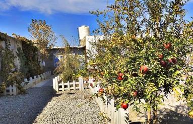 250 متر باغ فروشی بنا دار