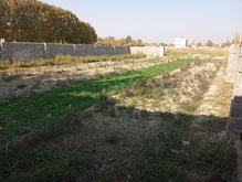 فروش زمین مسکونی 300 متر در تهران دشت در شیپور