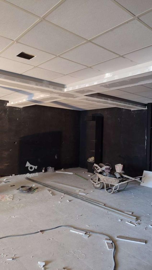 نقاش ساختمان (دست طلا)