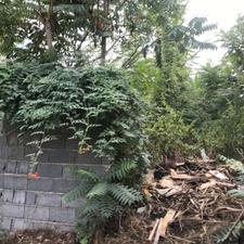 فروش 1007 متر زمین مسکونی مرکز شهر