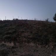 فروش زمین 300 متر مانده به روستا