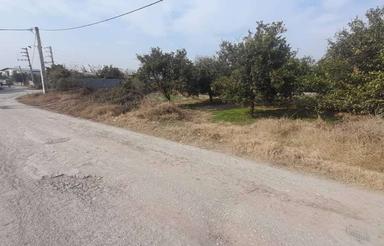 فروش 2200باغ بر اصلی