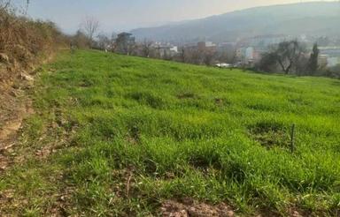 فروش زمین فوری