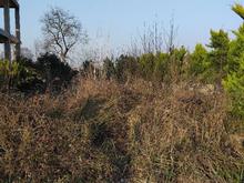 فروش زمین مسکونی 187 متر در مرکز شهر در شیپور