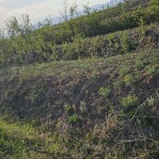 3 هزار متر زمین کشاورزی همزاه با سهمیه اب