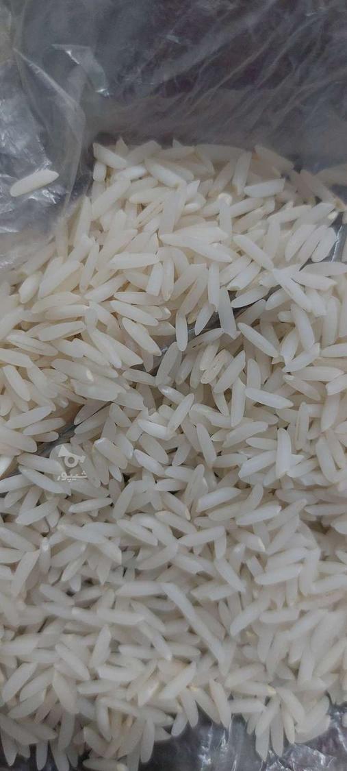 برنج محلی شمال