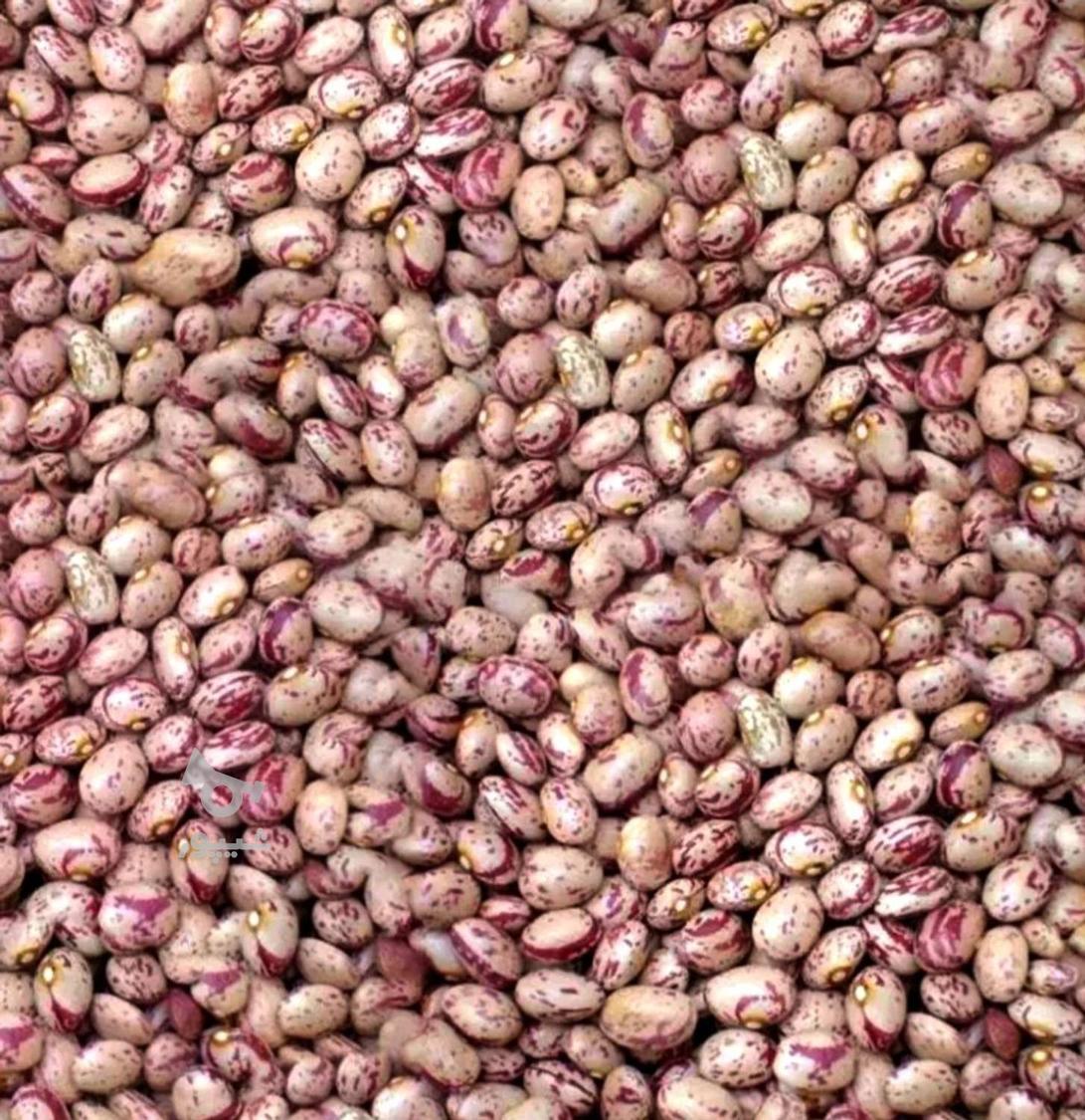 لوبیا چیتی ارگانیک