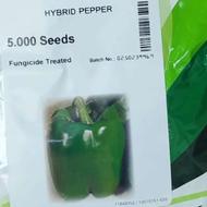 تامین وفروش انواع بذر سیفیجات