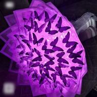 گل روبانی و پروانه ای