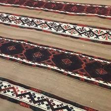 سوزن بافت اعلاء ریز بافت گیاهیشسته تمیز