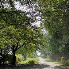 فروش زمین 280 متر در فرح آباد جنوبی