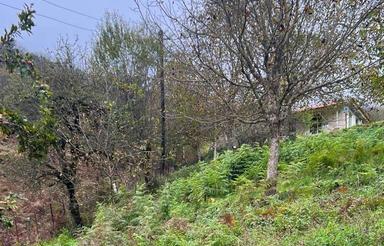 200 متر زمین در رضوانشهر روستای ارده