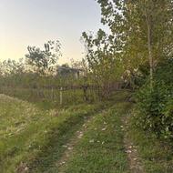 1437 متر زمین با ویو ابدی