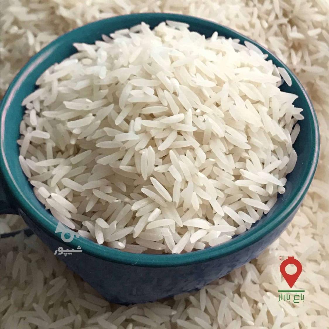 برنج همه رقم موجود