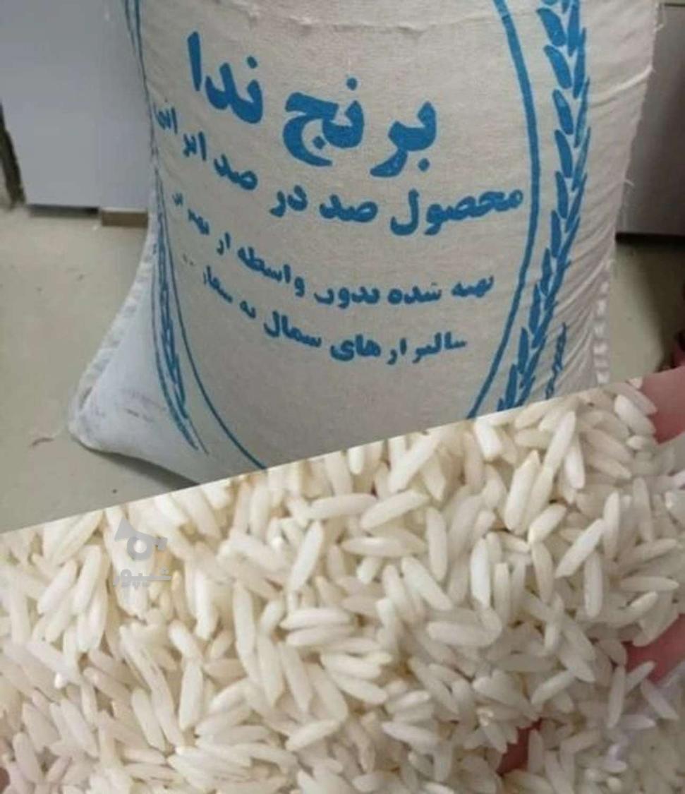 برنج همه رقم موجود