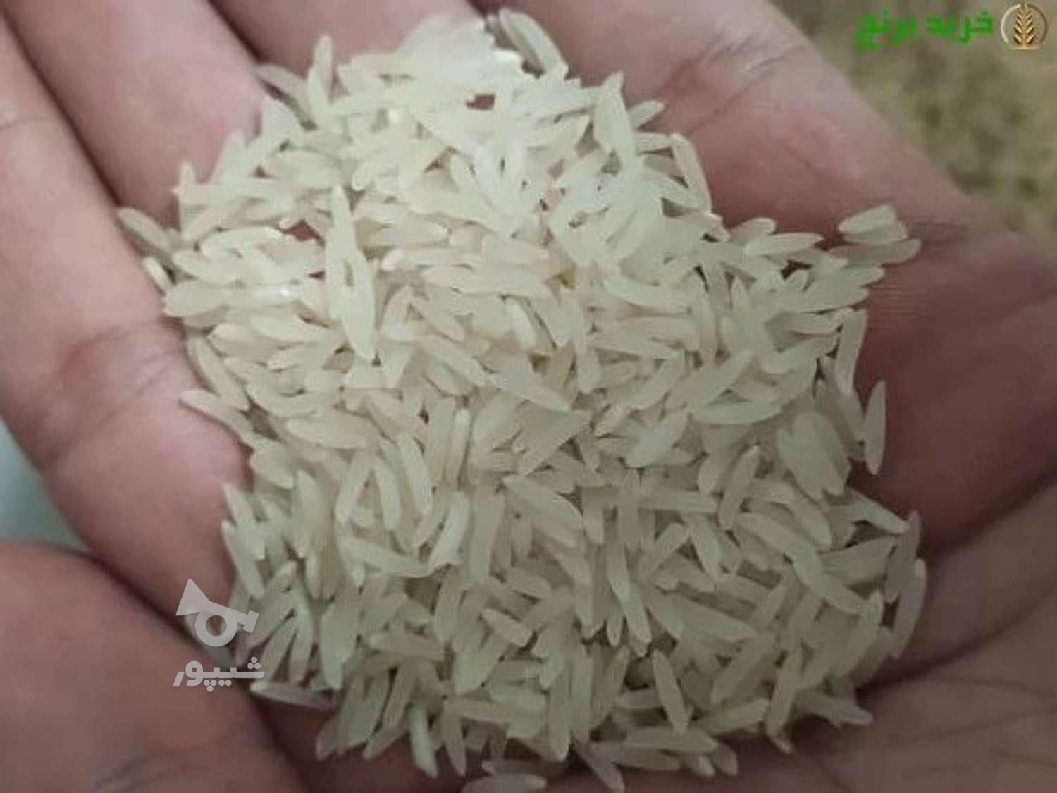 برنج همه رقم موجود