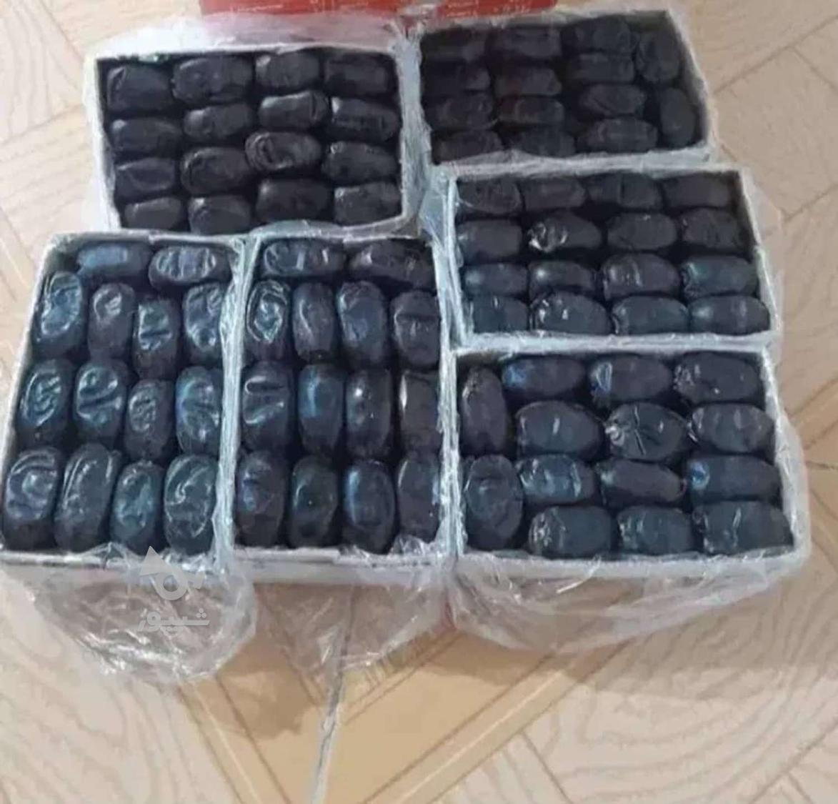 انواع خرما و مشتقات