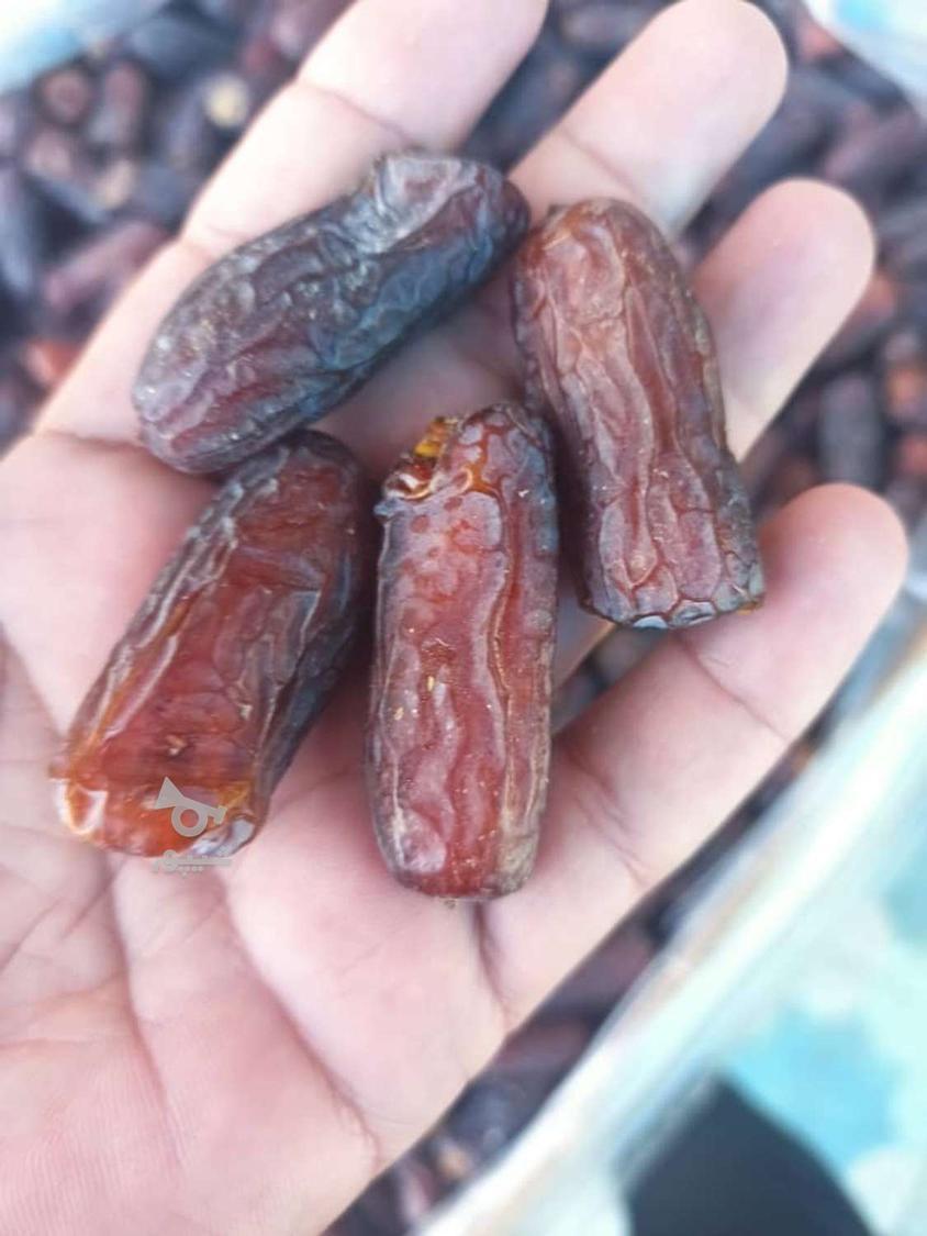 انواع خرما و مشتقات