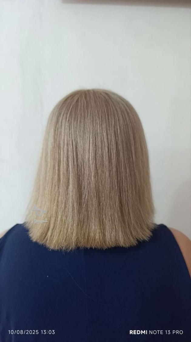 مدل احیا و صافی