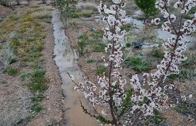 1000متر زمین باغی در مسکن مهر فولادشهر